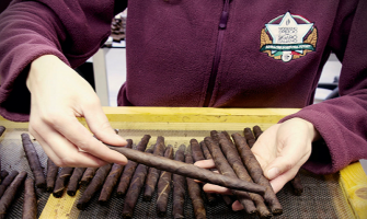 Ce tip de tutun este folosit la producerea tigarilor de foi Ambasciator Italico