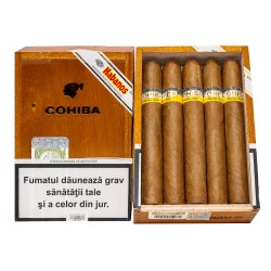 Trabucuri Cohiba Siglo VI (10)